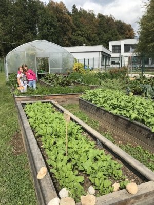 Zaključek osme sezone na biodinamičnem učnem vrtu  slika 15