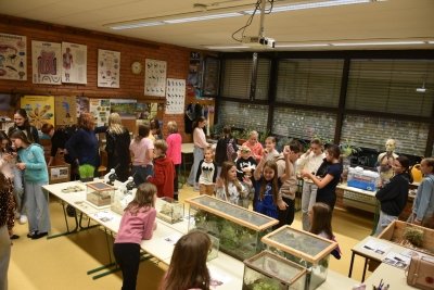 Čarobno na božično-novoletnih delavnicah slika 82